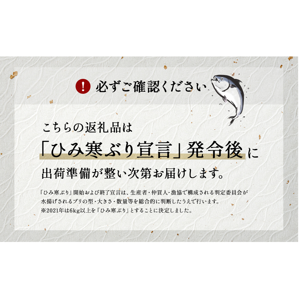 ひみ寒ぶり 半身プラン ※配送エリア限定