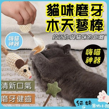貓薄荷棒棒糖 貓草棒棒糖 木天蓼 木天蓼棒 貓草球 貓草 貓用品 貓薄荷草 貓薄荷 玩具