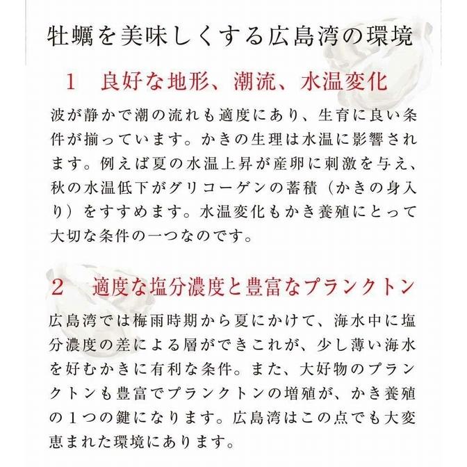 カキ 牡蠣尽くしセット 安芸 冷凍 広島県産 カキグラタン カキフライ