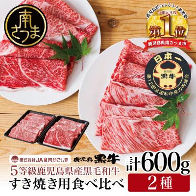 ふるさと納税 南さつま市 JA食肉かごしま 黒毛和牛 5等級 すきやき用600g 黒毛和牛