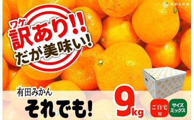 訳あり それでも 有田みかん 箱込 10kg (内容量約 9.2kg) B品 サイズミックス 和歌山県産 