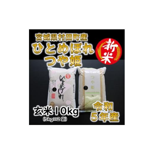 ふるさと納税 宮城県 村田町 ＜新米＞令和5年産 玄米10kg(5kg×2) ひとめぼれ・つや姫 食べ比べ 宮城県村田町産