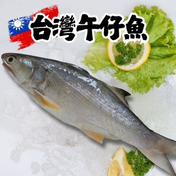 台灣午仔魚一夜干(200~250g/大尾) 午仔魚 一夜干 新鮮魚 煎魚 燒烤 家常菜