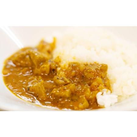 ふるさと納税 幸田消防カレー 200g×12個入り レトルトカレー カレー 小麦粉不使用 愛知県幸田町