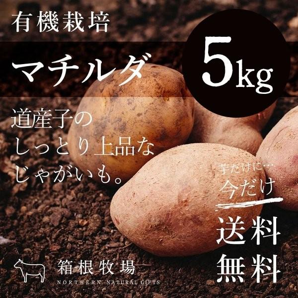 北海道産　野菜　詰め合わせ　5kg　マチルダ　M〜2L　セット　LINEショッピング　じゃがいも　有機栽培