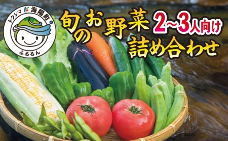 阿波の国海陽町　旬のお野菜詰め合わせセット６‐９品