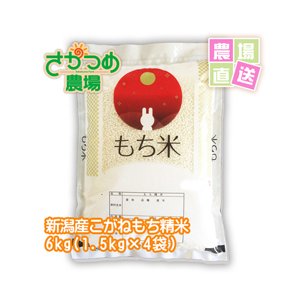 もち米　こがねもち　6kg　1.5kg×4袋　令和5年 新潟産　精米