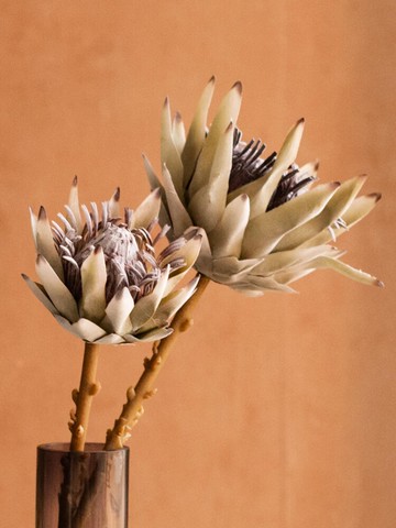 南十字星 仿真帝王花假花北歐客廳餐桌擺花電視柜花藝擺件裝飾品