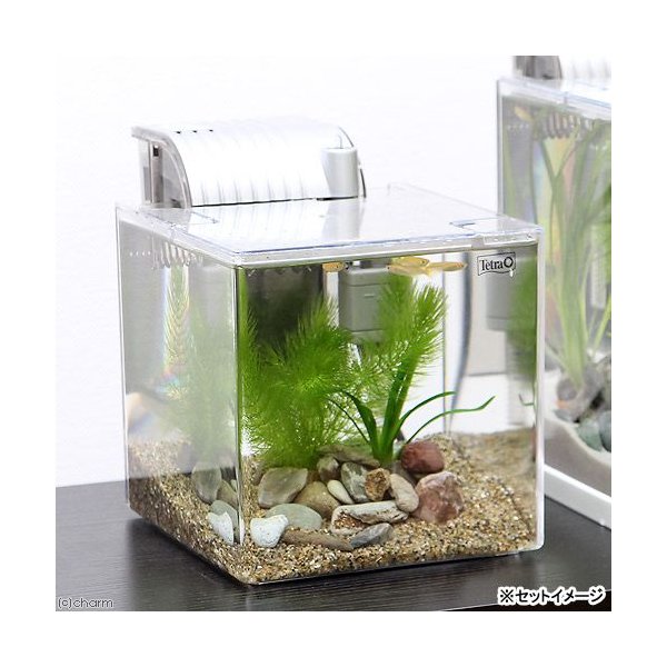 めだか プラ水槽で本格的メダカ飼育セット ｓｆ １７ｋｆ ヒメダカ付 説明書付 本州四国限定 通販 Lineポイント最大0 5 Get Lineショッピング