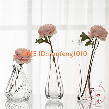 簡約玻璃花瓶透明水培花器 餐桌臺面現代裝飾小清新擺設【不二雜貨】
