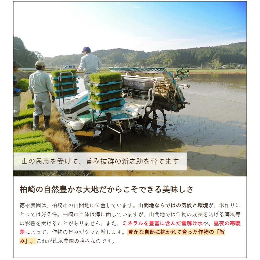 新潟産新之助 無洗米20kg（5kg×4袋） 徳永農園 送料無料