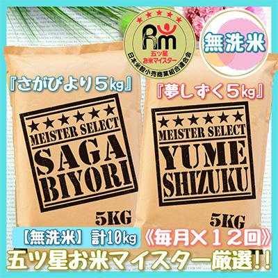 ふるさと納税 伊万里市 無洗米 食べ比べ!さがびより5kg・夢しずく5kg(伊万里市)全12回