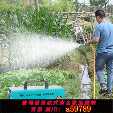 【全網低價 可打統編】充電澆菜水泵農用灌溉抽水機12v大功率自吸隔膜泵家用小型抽水泵