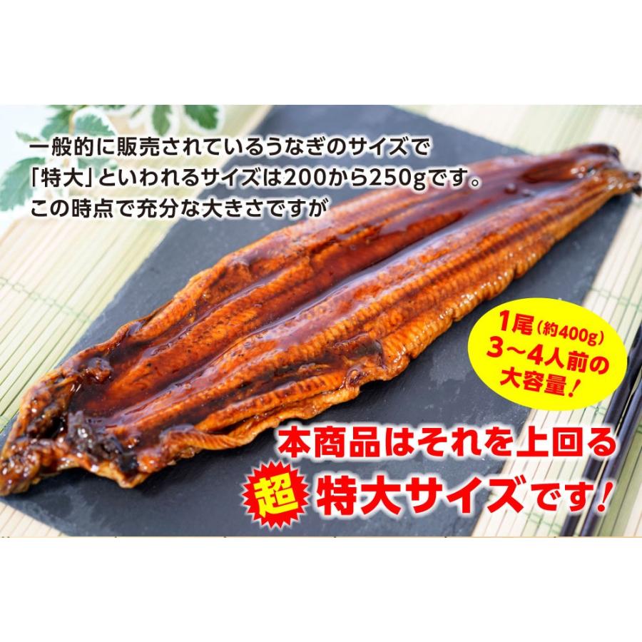 超特大 うなぎ蒲焼 1尾380g〜400g前後 中国産 訳あり 鰻 長焼 炭火焼 土用 丑の日 母の日 父の日 敬老 お歳暮ギフト