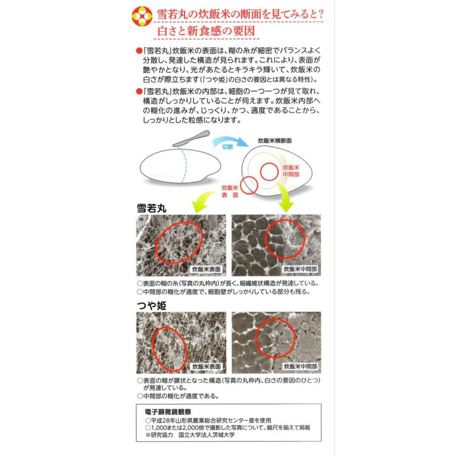 ★新米 2023年山形県産玄米 30kg 一等米 石抜き済