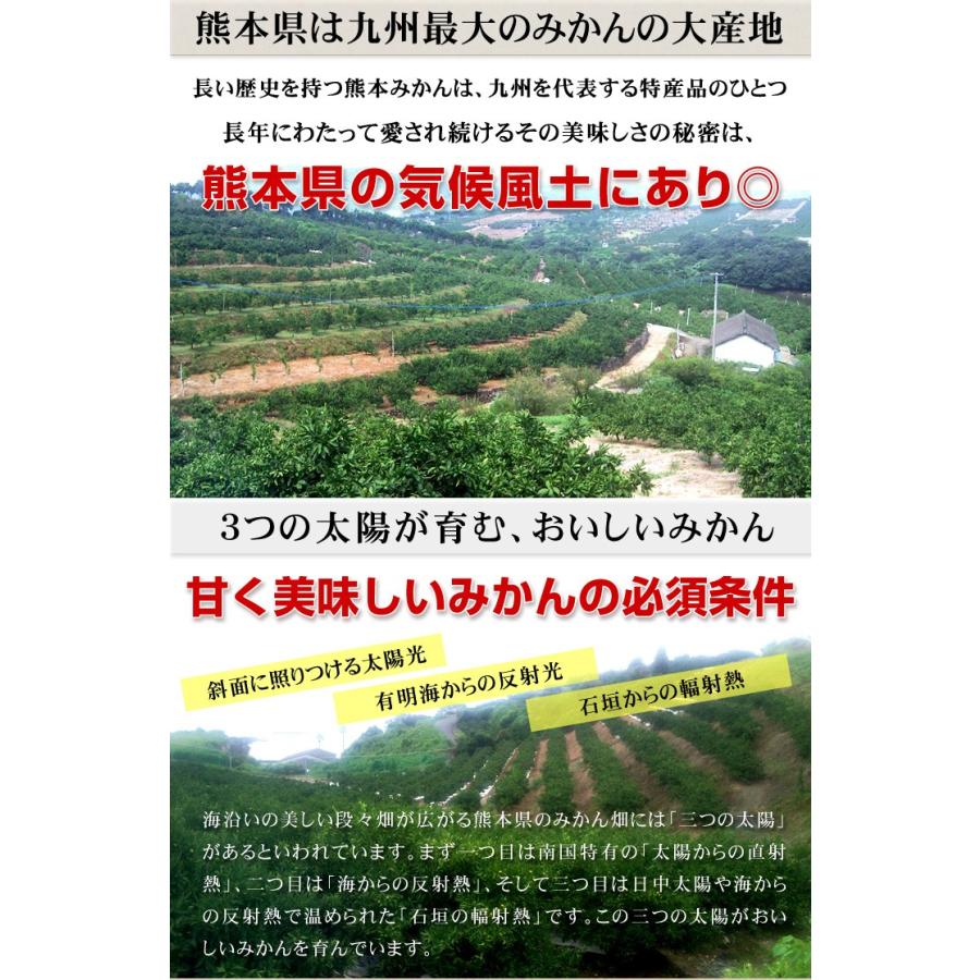 みかん 熊本みかん 1kg ご家庭用 熊本産 送料無料 2セット目から増量あり S〜2L混合 増量特典 ポイント消化 フルーツ 果物 国華園