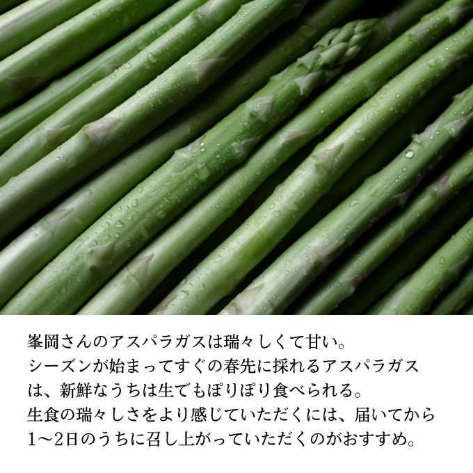 アスパラガス 1kg 野菜 アスパラ