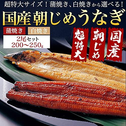 鰻 白焼き 国産 選べる 朝じめ うなぎ 白焼 ギフト 超特大 200〜250g × 2尾 未冷凍 お取り寄せグルメ 冷蔵お届け お中元 父の日 熨斗