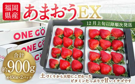 ギフト配送 福岡県産あまおう EX 約450g×2パック 〈特別栽培〉※北海道・沖縄・離島配送不可