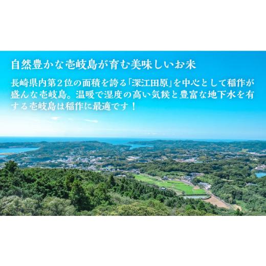 ふるさと納税 長崎県 壱岐市 お米 壱岐産 にこまる 5kg 《 壱岐市 》 [JBO053] 米 お米 にこまる  21000 21000円