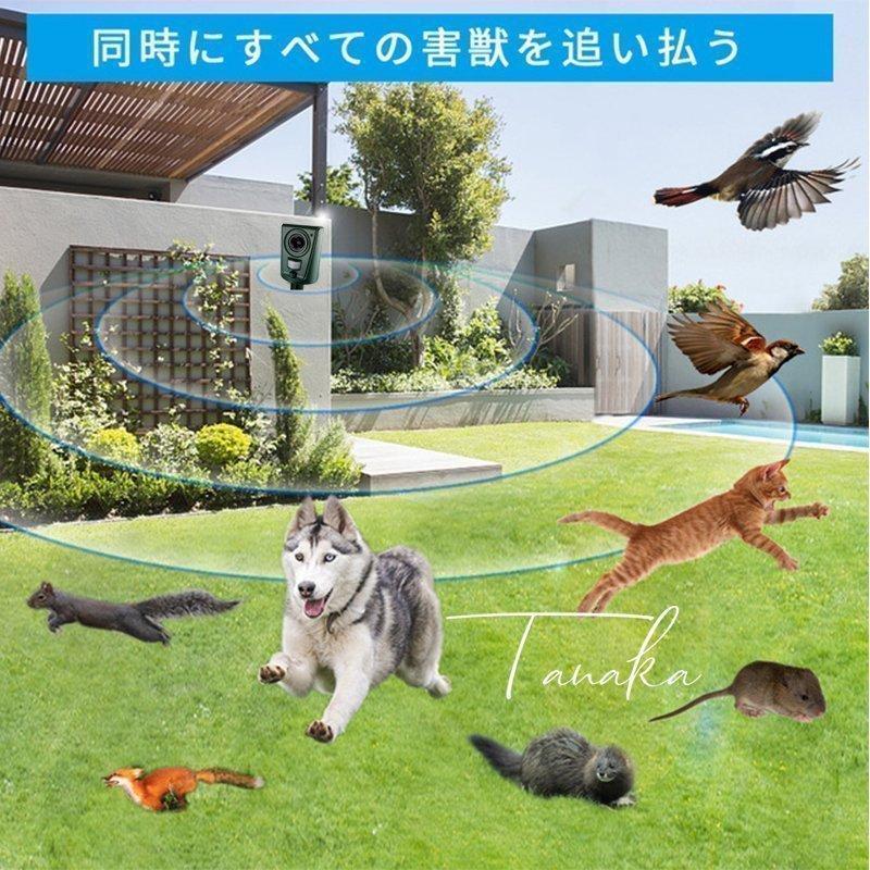 動物撃退器 動物撃退 超音波 セット 猫よけ 犬よけ 鳥獣対策 防水 駆除 大型犬 キツネ 小型犬 鳥 ネズミ ヘビ 動物 小動物