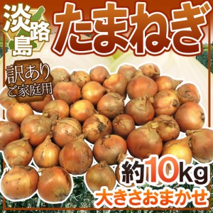 兵庫県 淡路島産 ”たまねぎ” 訳あり 約10kg 送料無料