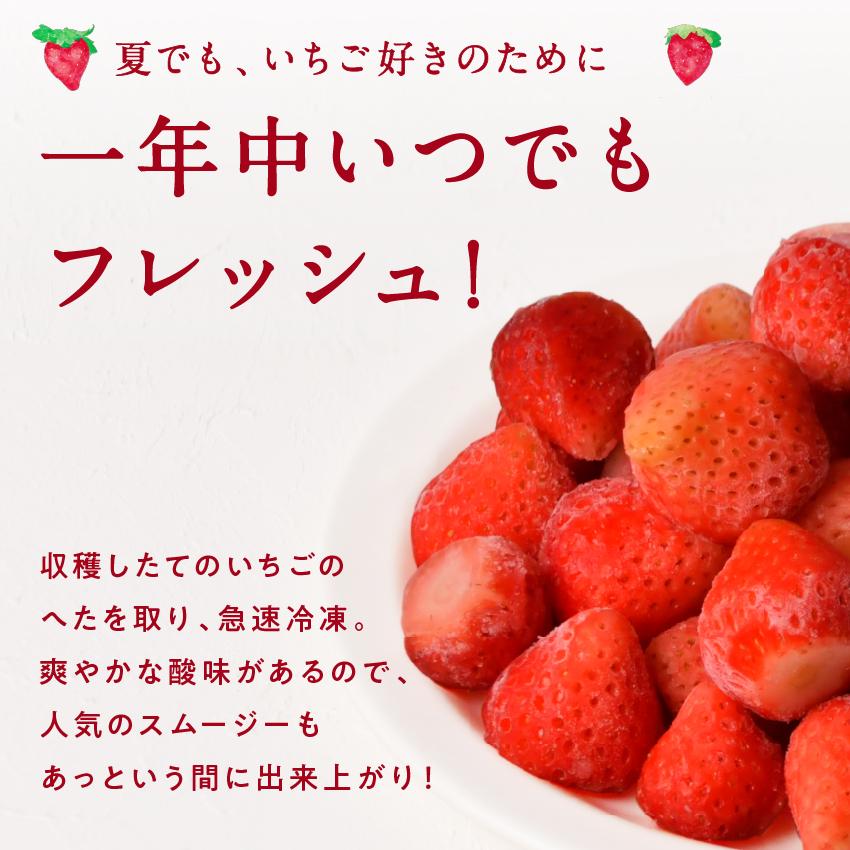 美いちご 1kg(500g×2袋) 冷凍 イチゴ 苺 有機栽培 国産 宮崎県産 フレッシュ スムージー スイーツ ギフト プレゼント 送料無料