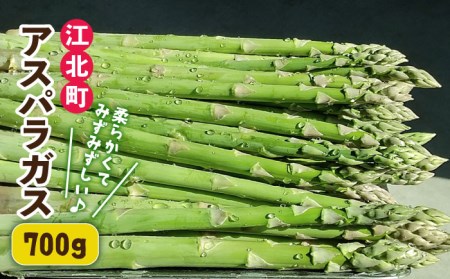 ＜先行予約＞春芽 アスパラガス 700gアスパラ 野菜 [HCC005]