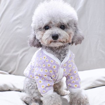 狗狗衣服秋季保暖加絨小雛菊款小狗衣服小泰迪小型犬秋天冬裝衣服