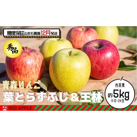 ふるさと納税 13度糖度保証 秀品 蜜入り葉とらずふじ＆王林 約5kg 青森県弘前市