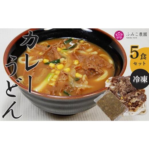 ふるさと納税 和歌山県 有田川町 冷凍　カレーうどん５食