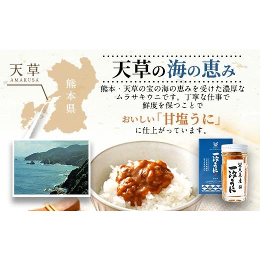 ふるさと納税 熊本県 上天草市 天草産ムラサキウニだらけ　豪華2本セット　(一汐低塩仕込み／60g)