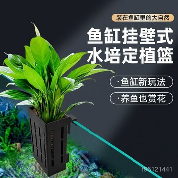 🚚台灣12H🚚魚缸定植盆 水族 魚缸 水草 造景 水培 水培盆魚缸專用水培植物籃家用水草種植掛式 水植物魚缸定植籃VLK