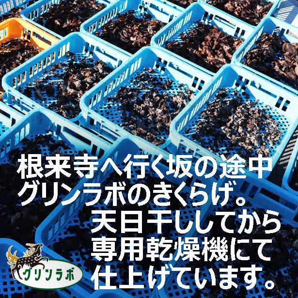 乾燥きくらげ キクラゲ 木耳 スライス10g6袋 和歌山産 賞味期限2023.10.20