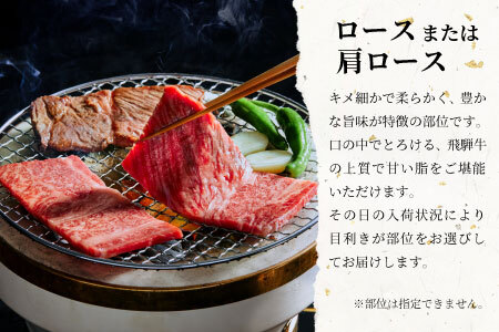 飛騨牛 ロースまたは肩ロース 焼肉用 600g 牛肉 20000円