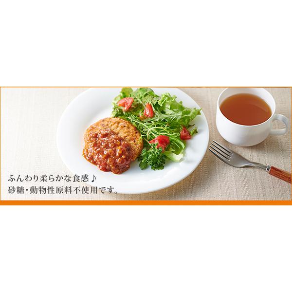 豆腐ハンバーグ 大豆ミート ソイミート オーサワの豆腐ハンバーグ 120g 全２種 送料無料