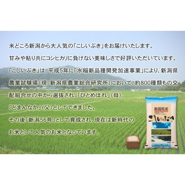 2023年度産 令和5年産 新米 ふるさと名物商品 新潟産 こしいぶき 10kg (5kg×2個) 米 お米 精米済み 美味しい 代引不可 同梱不可