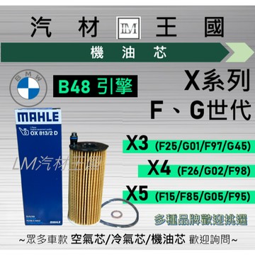 【LM汽材王國】機油芯 BMW B48 X3 X4 X5 F25 G01 G45 F26 G02 F15 G05 寶馬