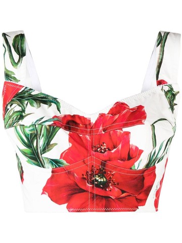 Dolce & Gabbana Poppy Print Bustier