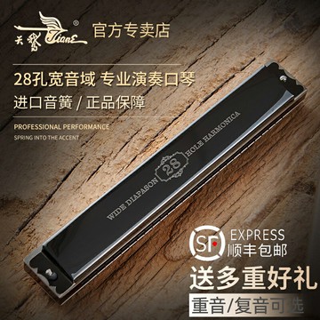 德國進口音簧28孔復音口琴C調初學者學生成人入門重音專業演奏級