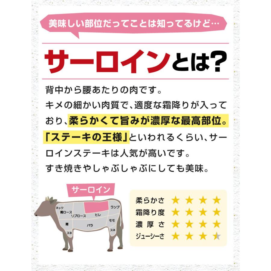 ギフト 食べ物 肉 グルメ 宮崎牛 サーロインステーキ A4 A5ランク 200g×2枚 送料無料 食べ物 高級 プレゼント Y凍