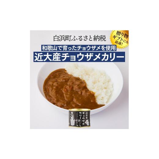 ふるさと納税 和歌山県 白浜町 缶詰バー気分が楽しめる缶詰セット　缶詰め セット カレー だし巻き 鯛 チョウザメ カンソ おつまみ 備蓄 非常食 …