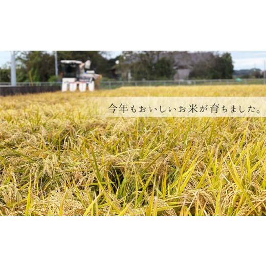 ふるさと納税 熊本県 玉名市 仲山さんちのお米（検査米）10kg×12回