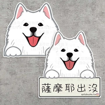 現貨 薩摩耶出沒 車貼安全帽防水行李箱貼紙筆記本吉他水杯貼筆電手機殼ipad保溫杯防水吉他貼露營貼交換禮物生日禮物