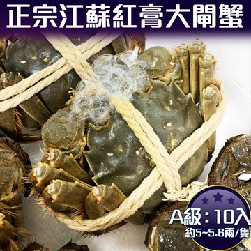 RealShop 正宗活體江蘇紅膏大閘蟹 A級( 5~5.6兩)/10隻入