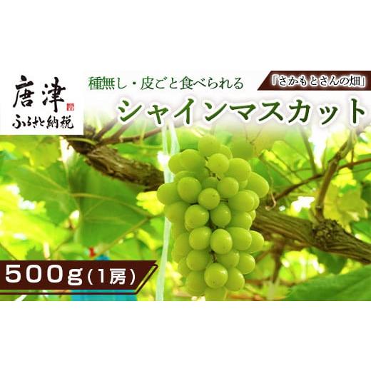 ふるさと納税 佐賀県 唐津市 『予約受付』シャインマスカット500g 1房 葡萄 ぶどう 果物 フルーツ スイーツ