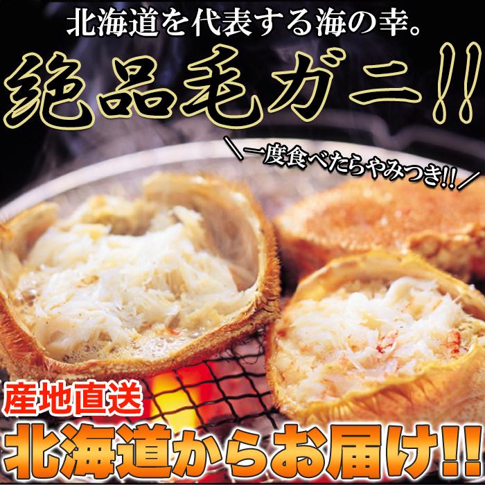 北海道を代表する海の幸！絶品！！毛がに 400g×2尾