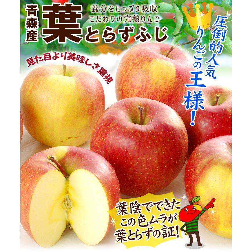 りんご 10kg 葉とらずふじ 青森産 ご家庭用 送料無料 食品
