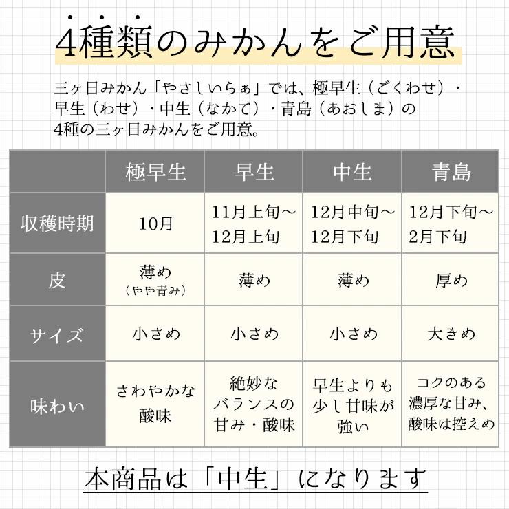  低農薬 有機栽培 三ヶ日 中生 みかん 10kg 南柑 送料無料 訳あり やさしいらぁ 3S 〜 3L サイズ不揃い オーガニック 特別栽培 有機肥料 減 農薬