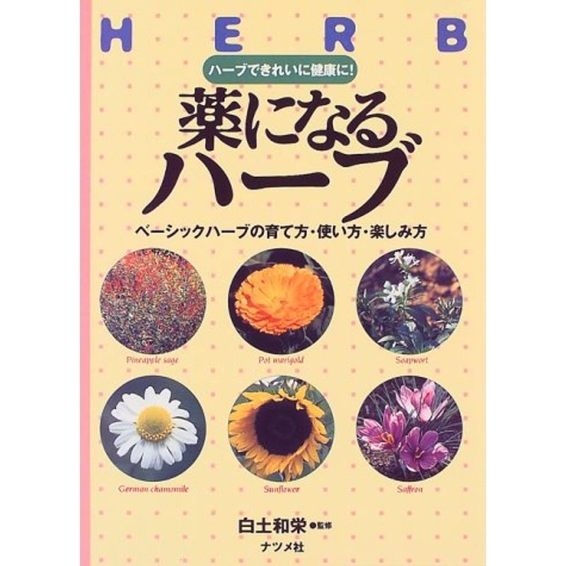 薬になるハーブ?ベーシックハーブの育て方・使い方・楽しみ方 ハーブできれいに健康に